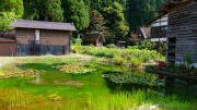 06-Shirakawa-go (7)